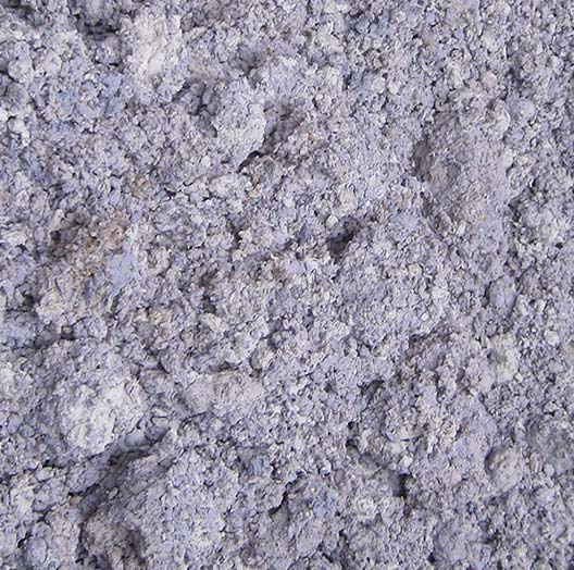 paper pulp